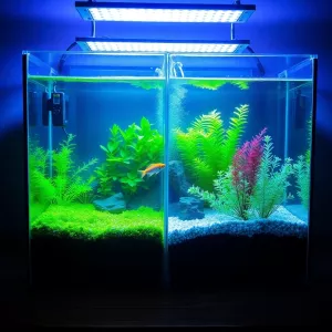 Oświetlenie LED w akwarium a glony